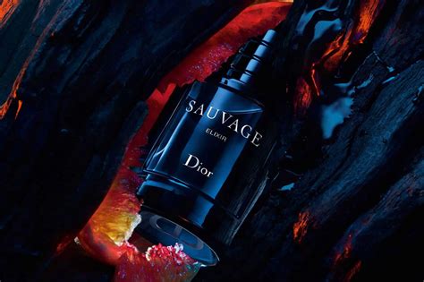 yodema dior|dior cologne sauvage elixir.